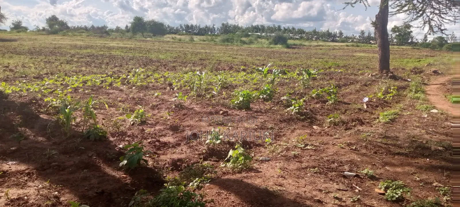 100 Acres of Land in Ngigiri Embu Touching Riverthiba Area Forfarming in Kirimari