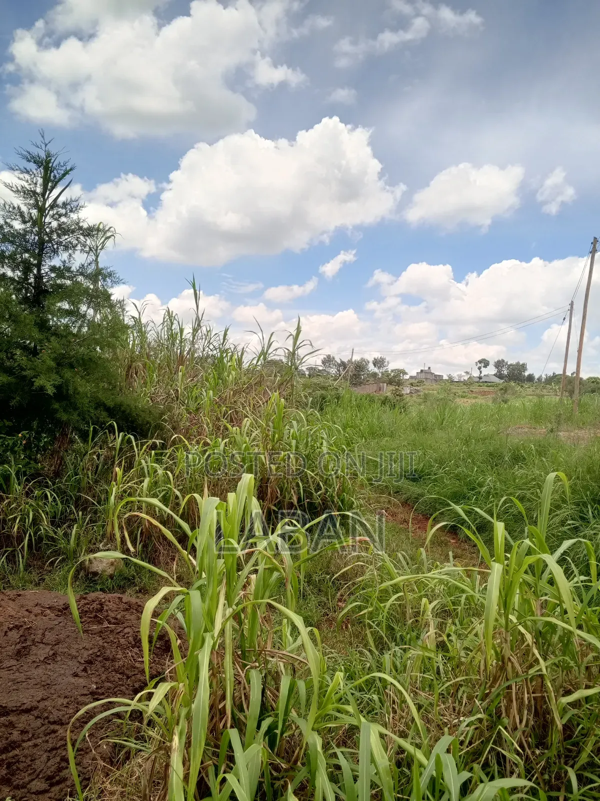 Mugutha 1/4acre in Kimbo