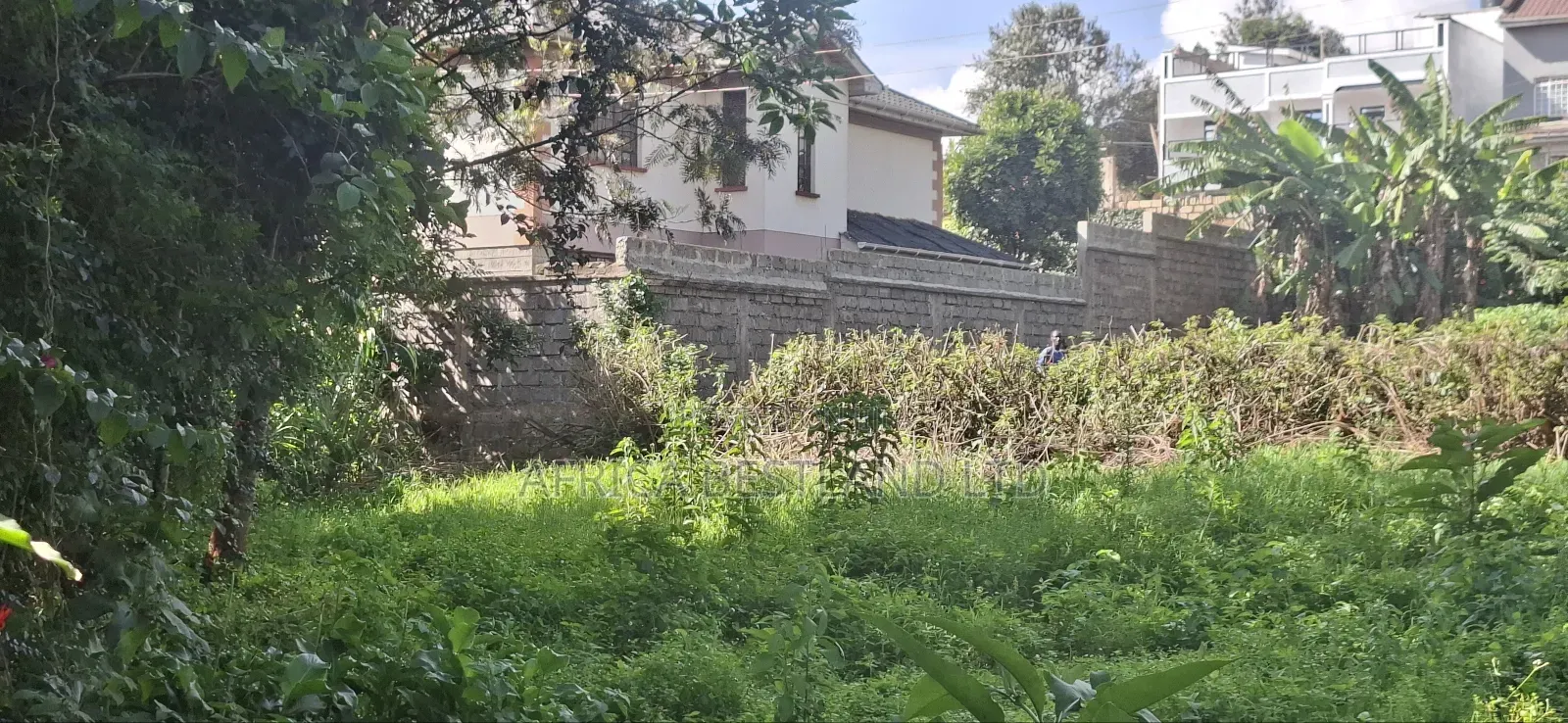 1/2 Available Land for Sale in Kikuyu Mai Hii Kiambu County in Kikuyu