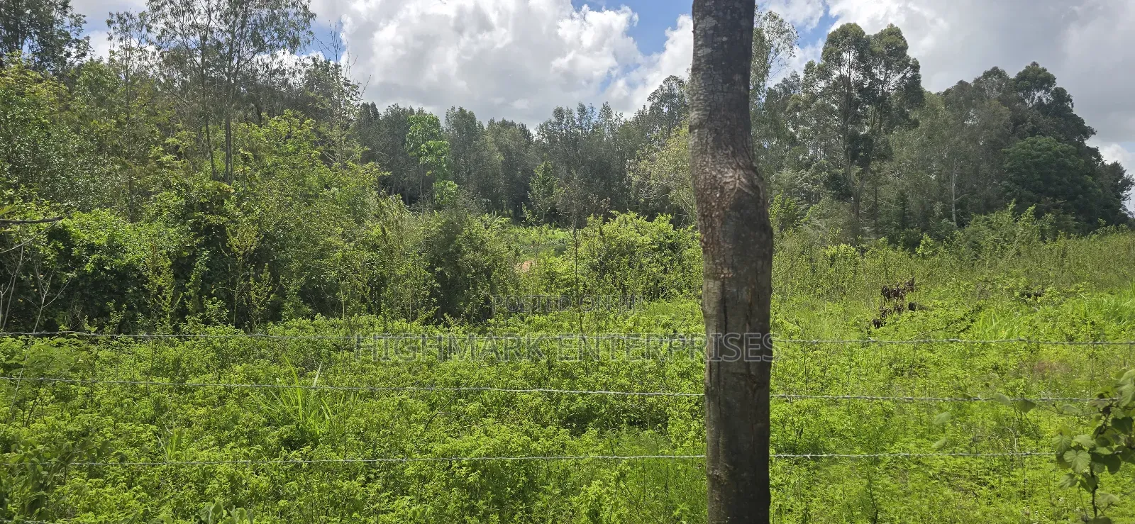 Half an Acre for Sale Mua Hills in Mua Hills