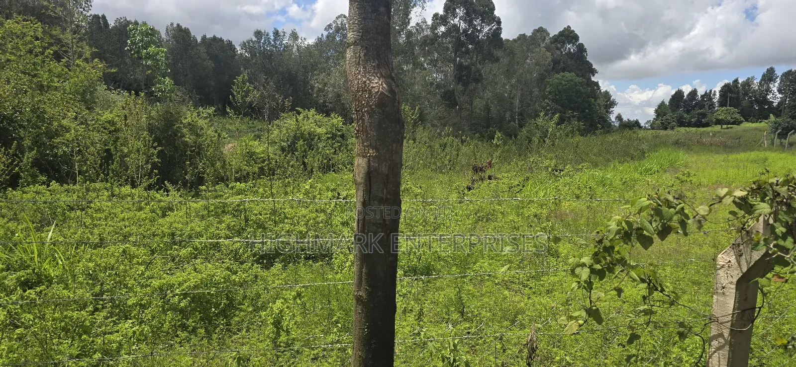 Half an Acre for Sale Mua Hills in Mua Hills