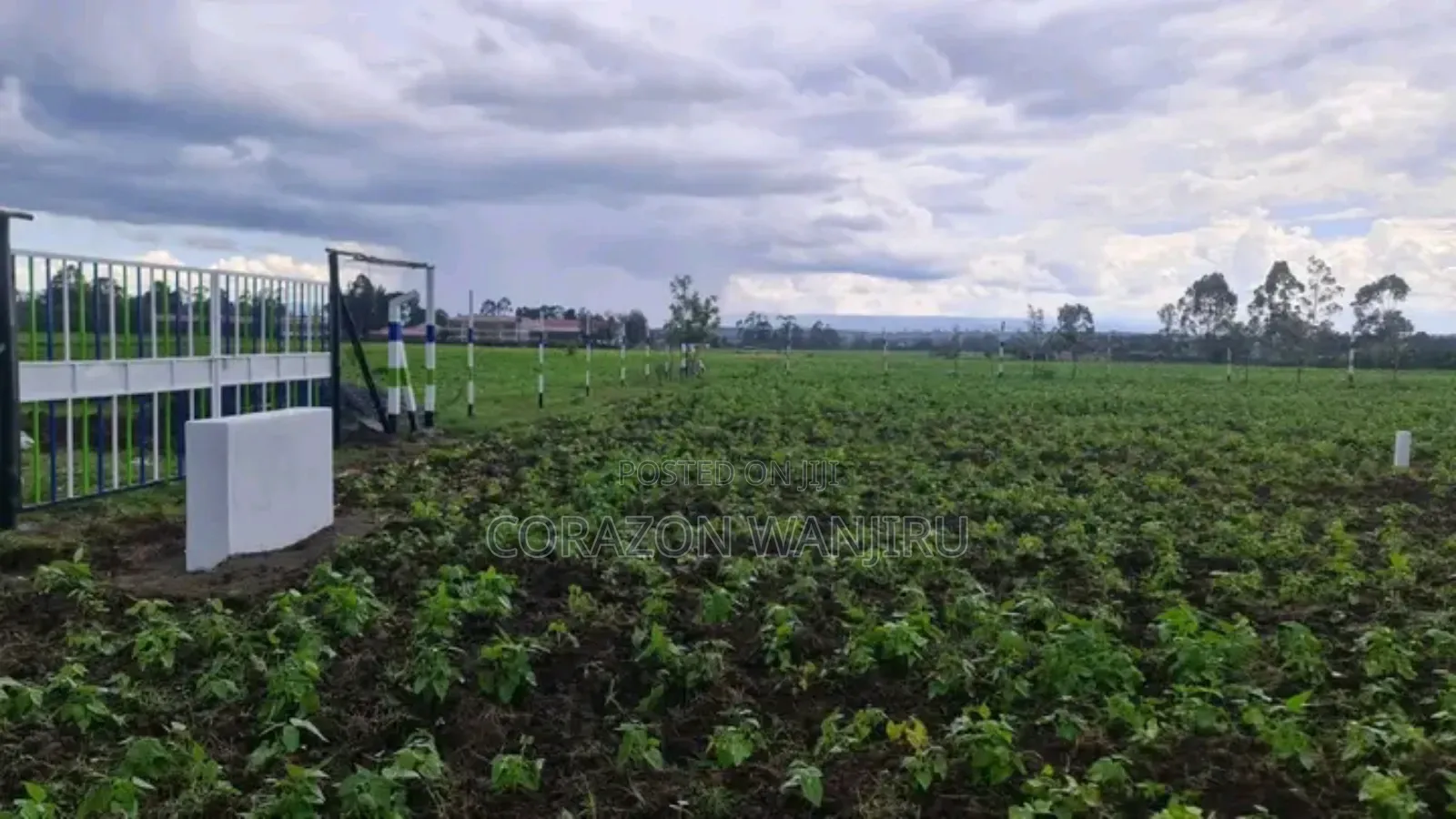 50*100plots in Nakuru,Just After Greensteads in Barnabas
