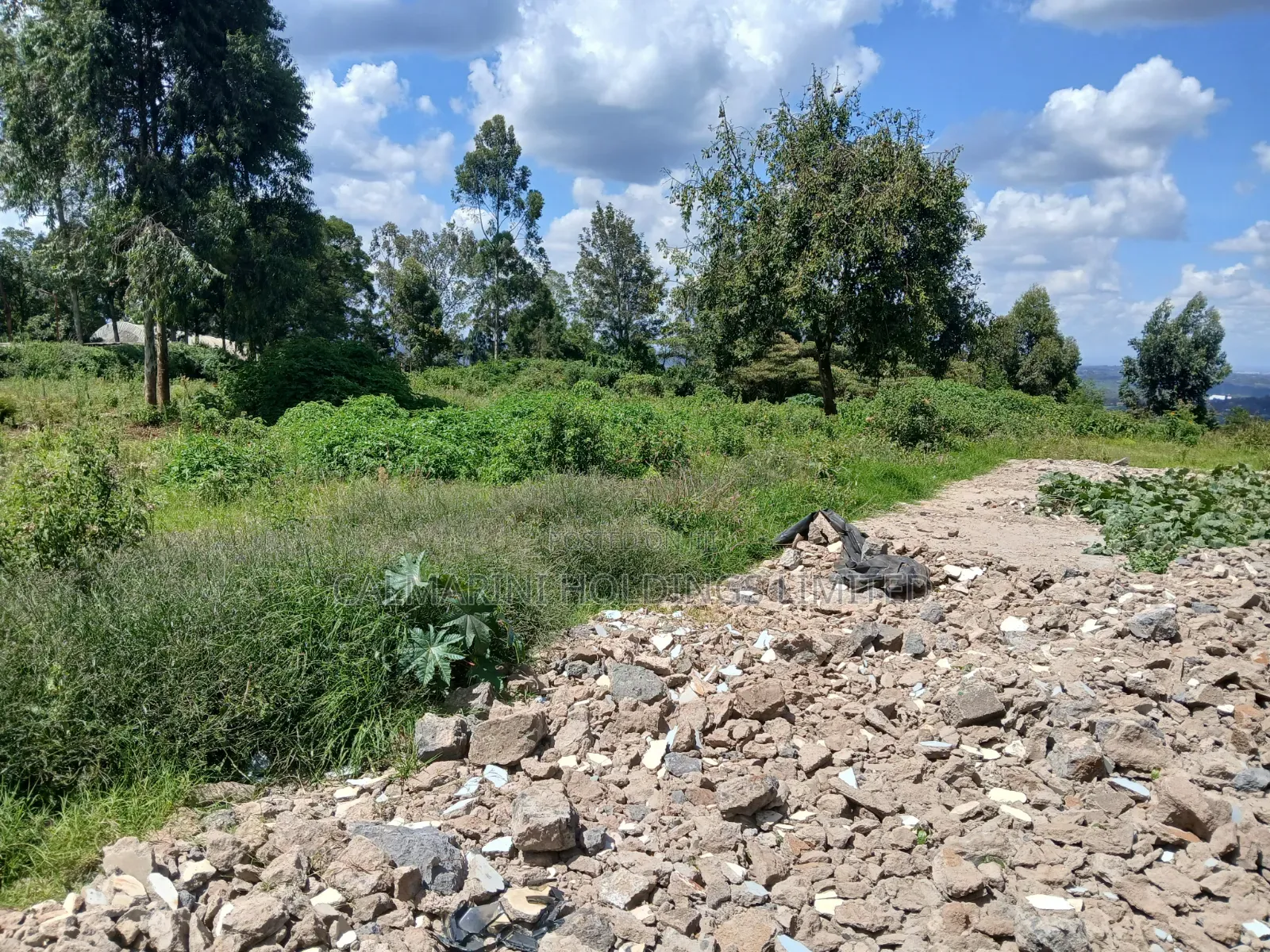 Distress! Prime Redsoil 1/4 Acre Plot in Upper Matasia, 1km Off Tarmac in Matasia