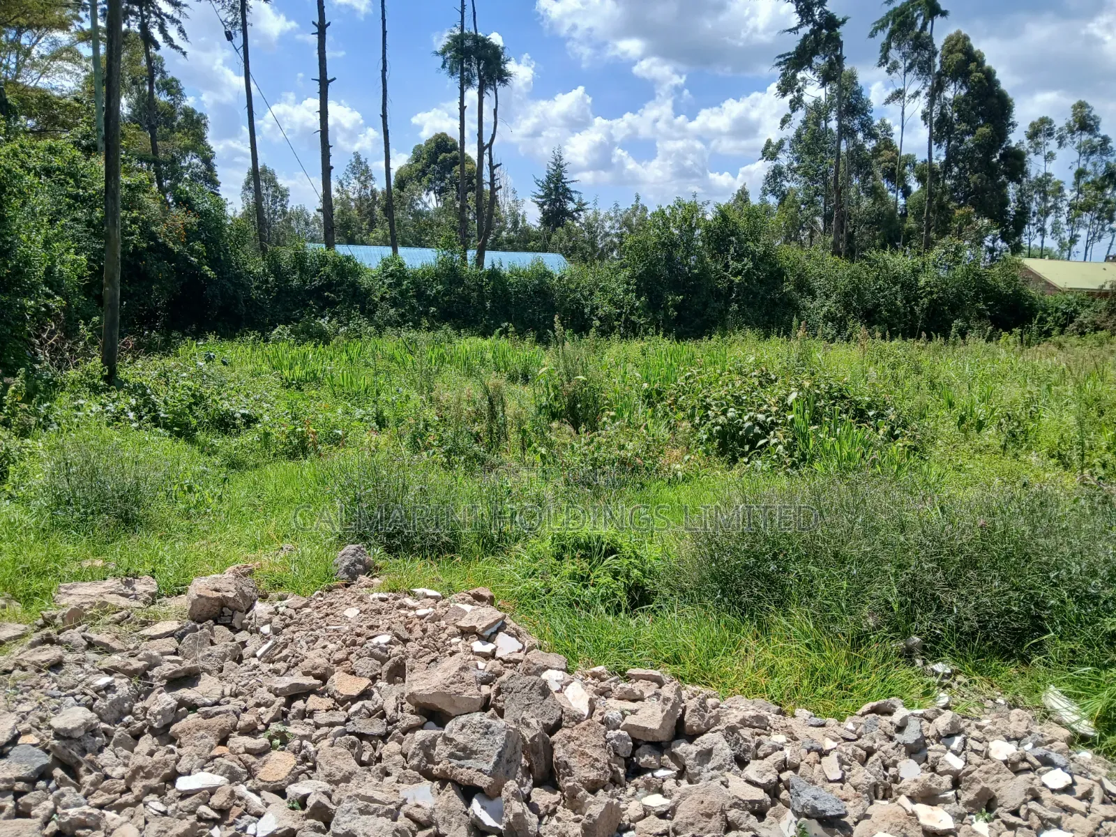 Distress! Prime Redsoil 1/4 Acre Plot in Upper Matasia, 1km Off Tarmac in Matasia