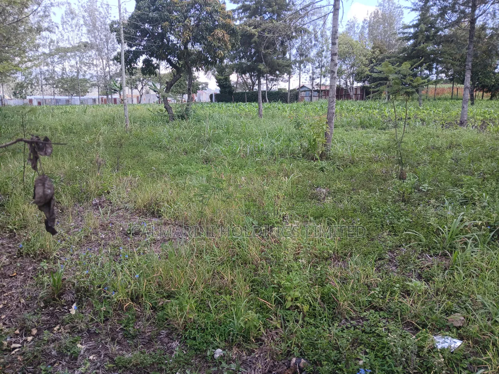 Prime 100 by 100 Plot for Sale in Matasia Off Oloika Road in Matasia