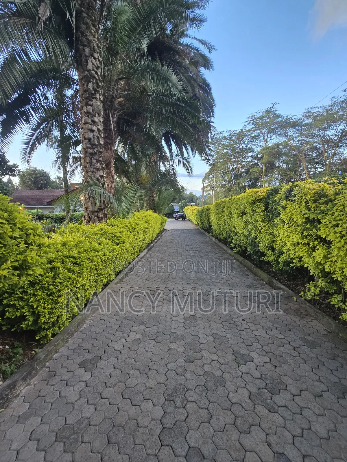 4bdrm Bungalow in Lower Kabete for rent in Lower Kabete