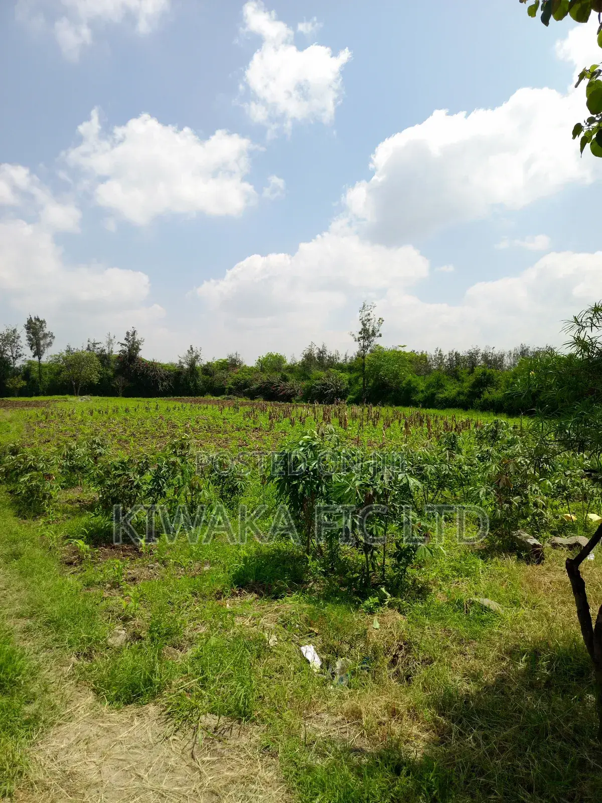 2 Acres 1.4 Km Off Eastern Bypass in Ruai