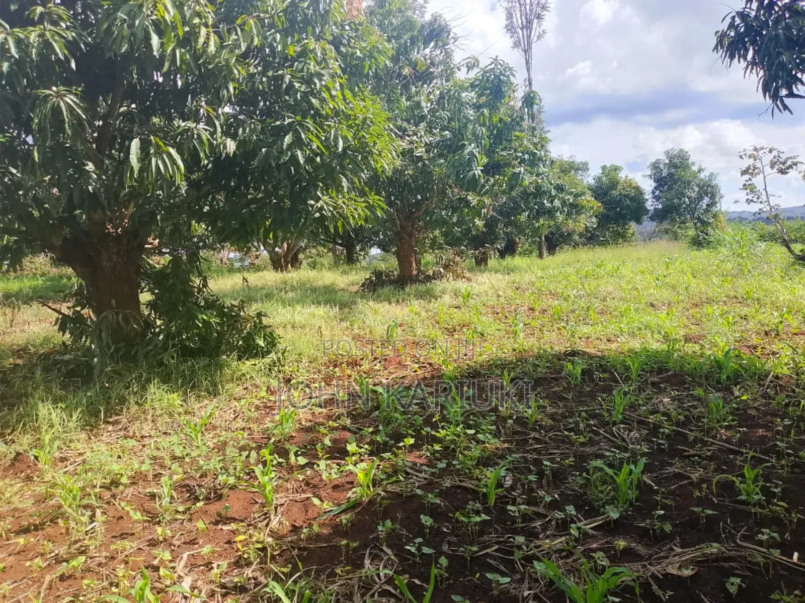 17 Acres of Land in Ugweri-Kanduri Embu County in Kithimu