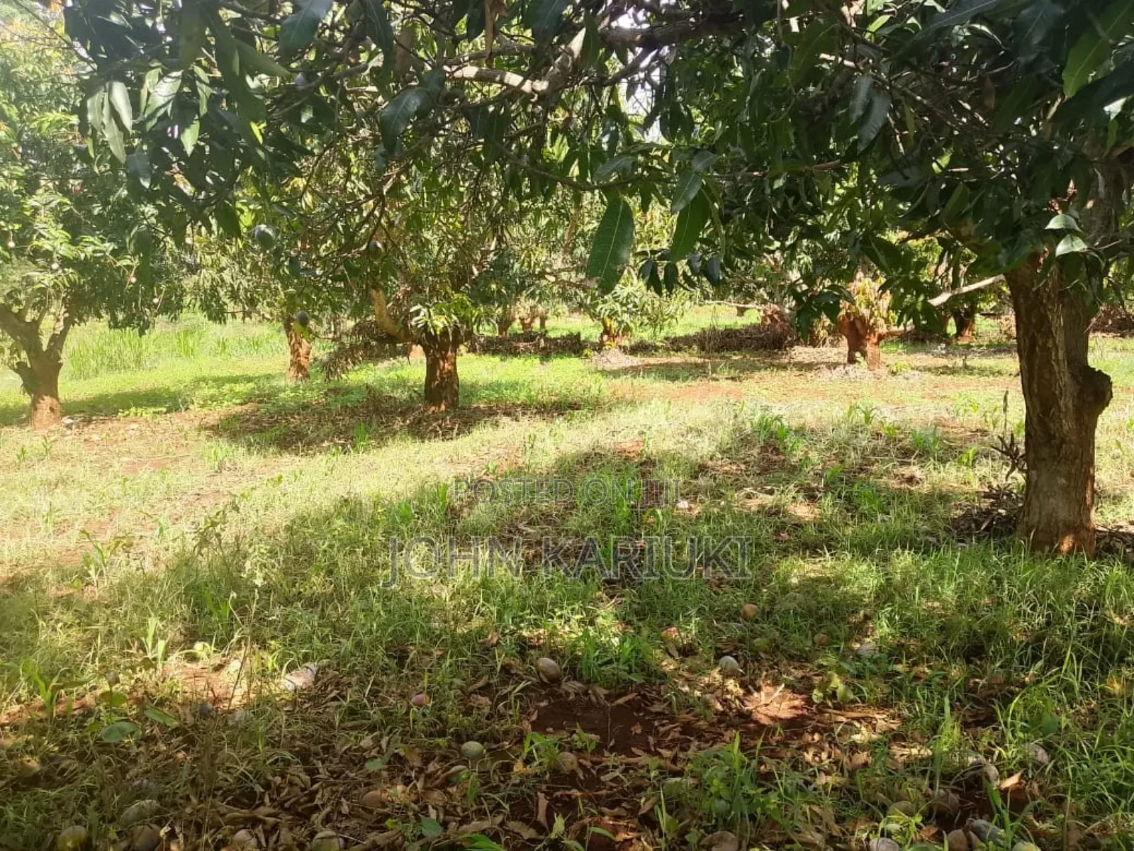 17 Acres of Land in Ugweri-Kanduri Embu County in Kithimu