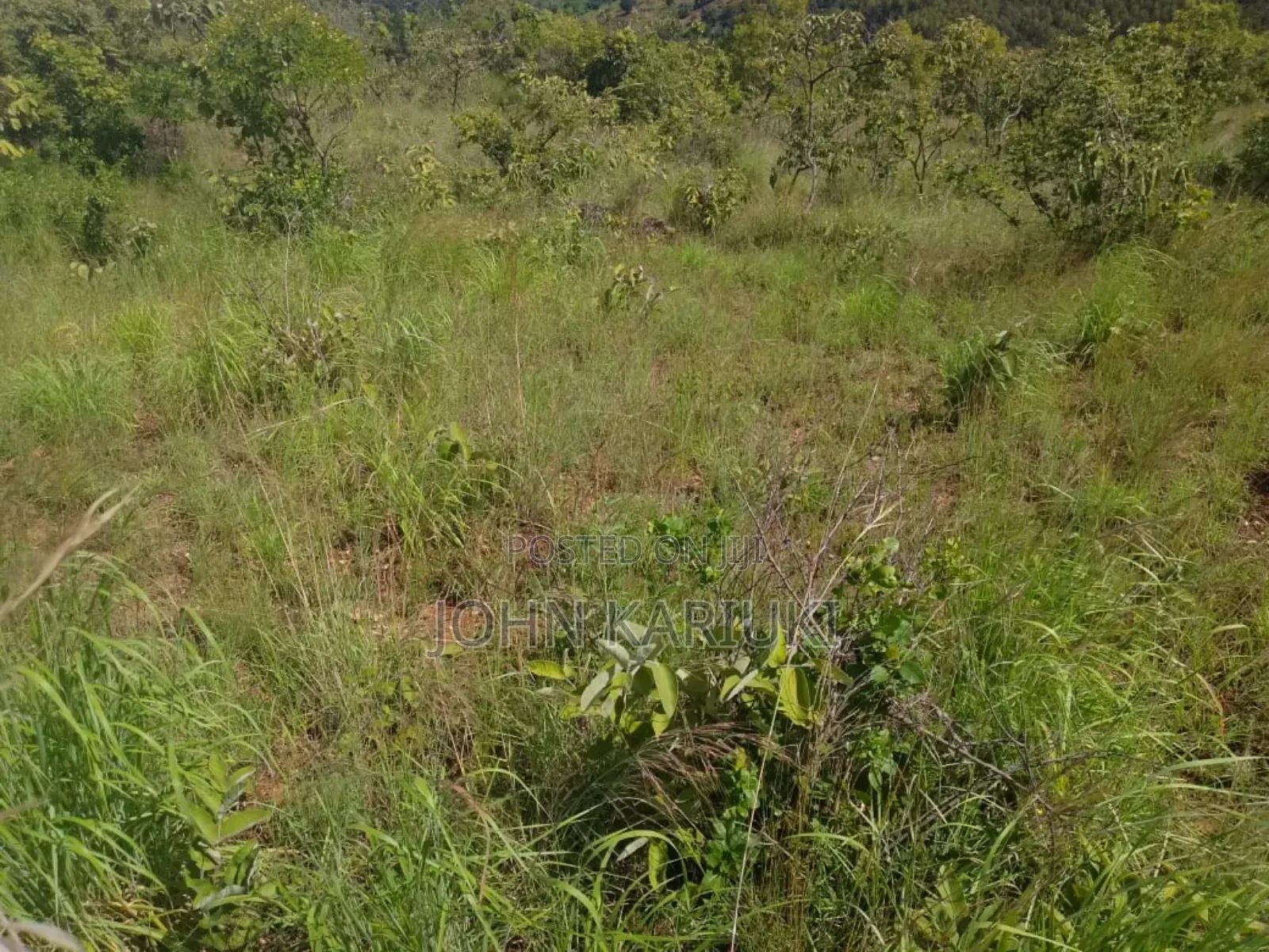 17 Acres of Land in Ugweri-Kanduri Embu County in Kithimu