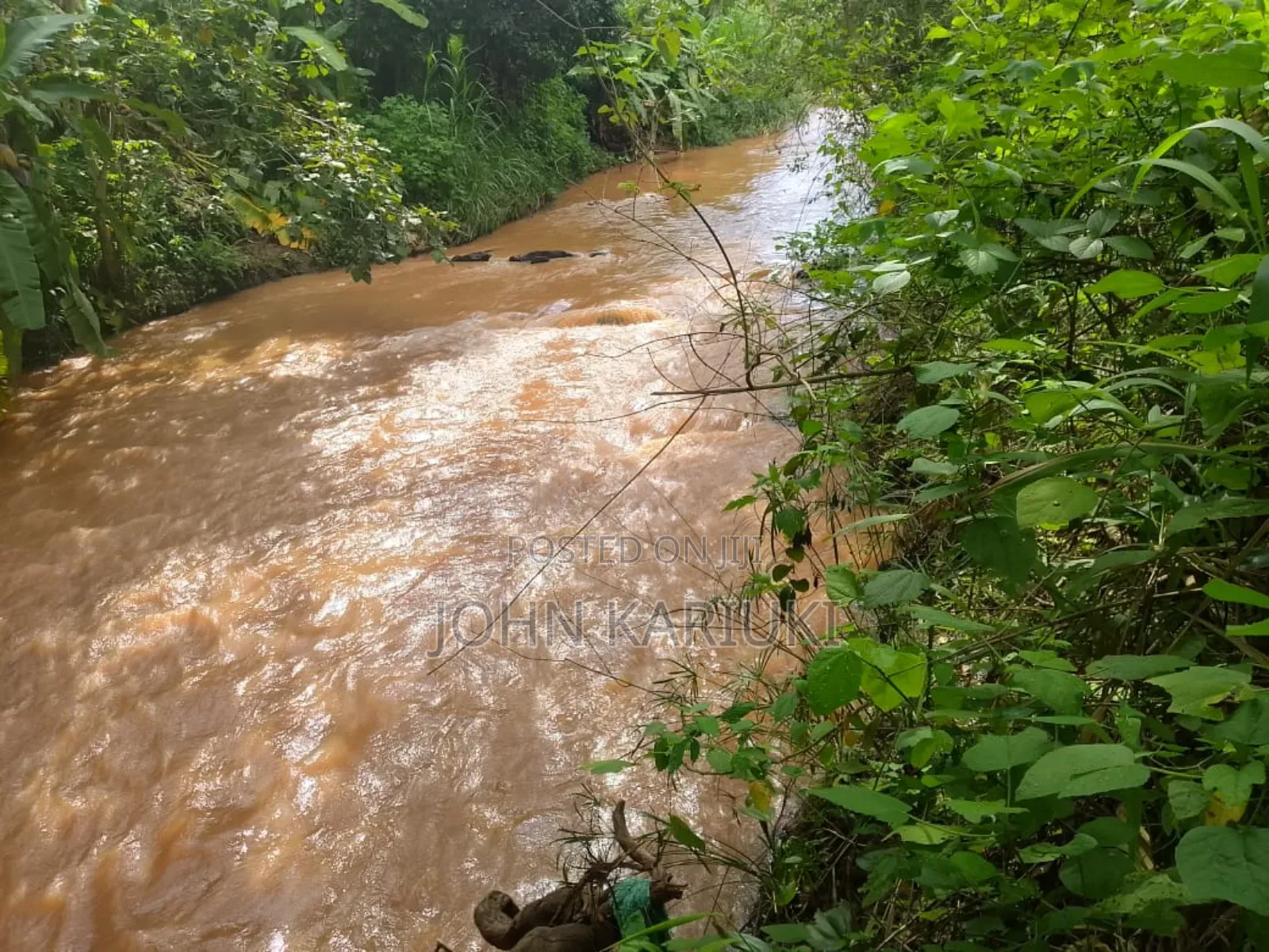 17 Acres of Land in Ugweri-Kanduri Embu County in Kithimu