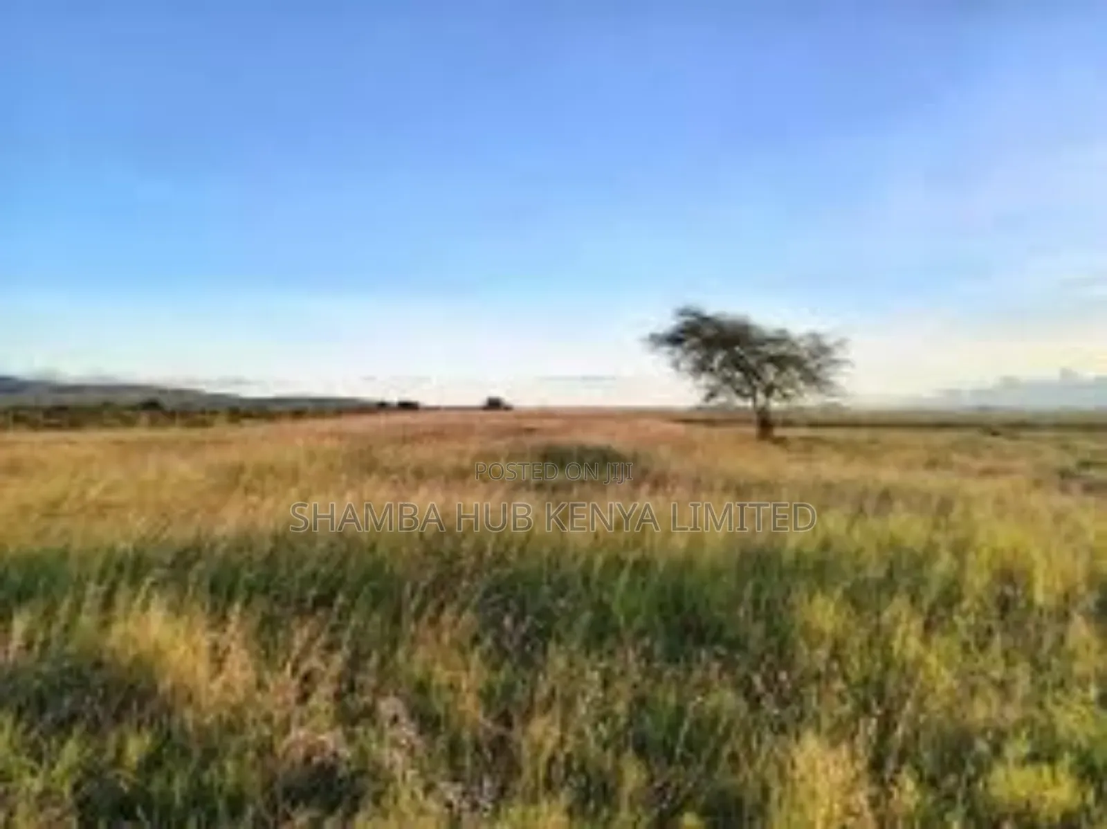 200 Acres On Sale In Transmara in Narok Town