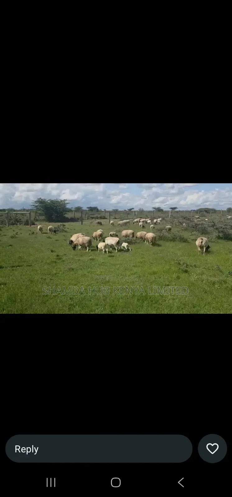 200 Acres On Sale In Transmara in Narok Town
