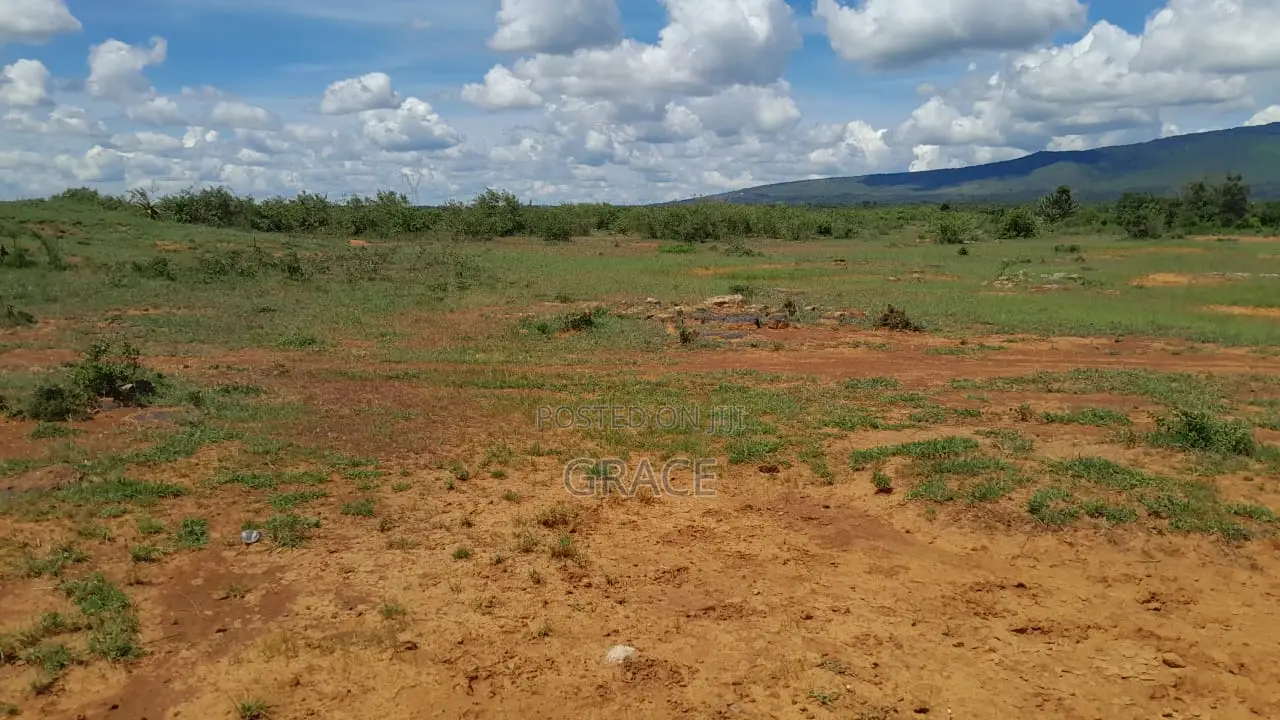 Prime Plots in Juja Farm – Secure Your Future Toda in Kalimoni
