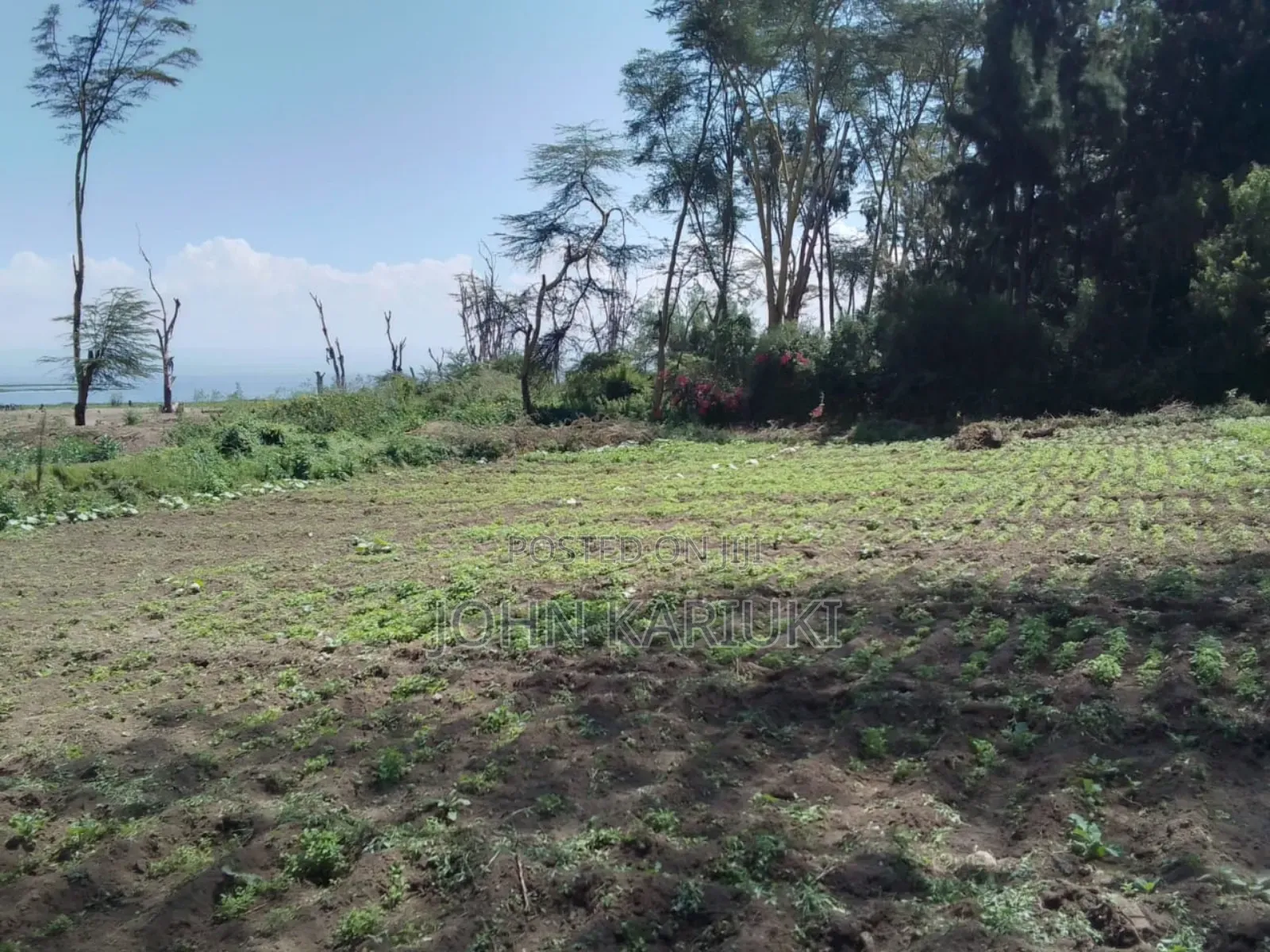 15 Acres of Land in Naivasha Touching the Lake and Tarmac in Karagita