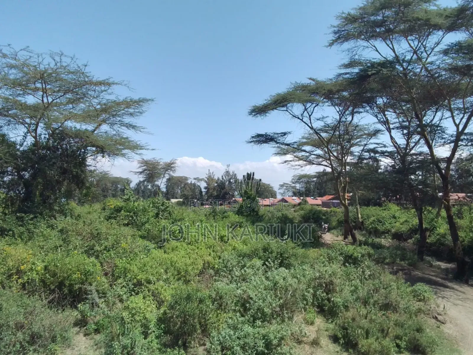 15 Acres of Land in Naivasha Touching the Lake and Tarmac in Karagita