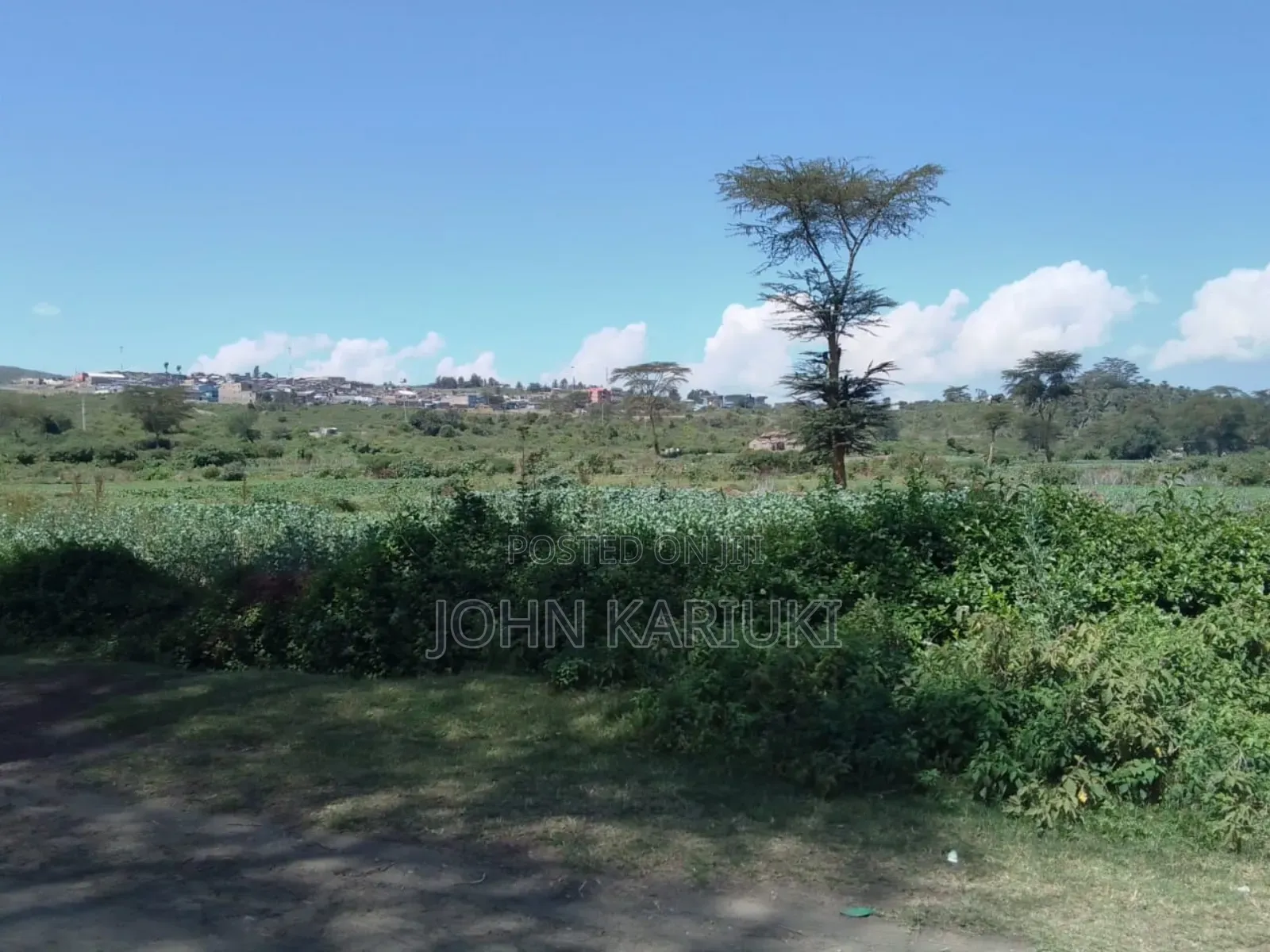 15 Acres of Land in Naivasha Touching the Lake and Tarmac in Karagita