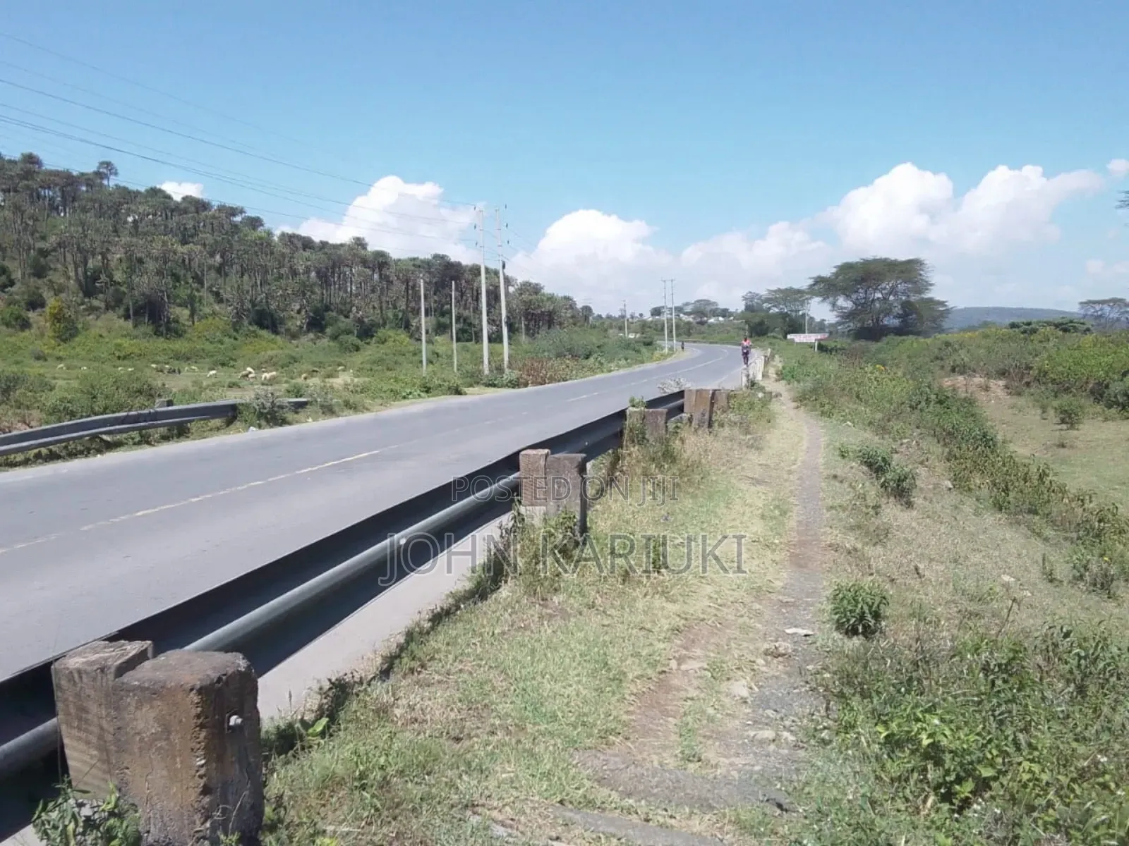 15 Acres of Land in Naivasha Touching the Lake and Tarmac in Karagita