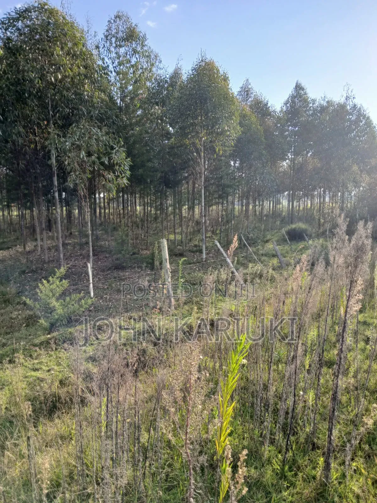 50x100 Plots in Naivasha Kirima Near Meriah Guest Houses in Murungaru