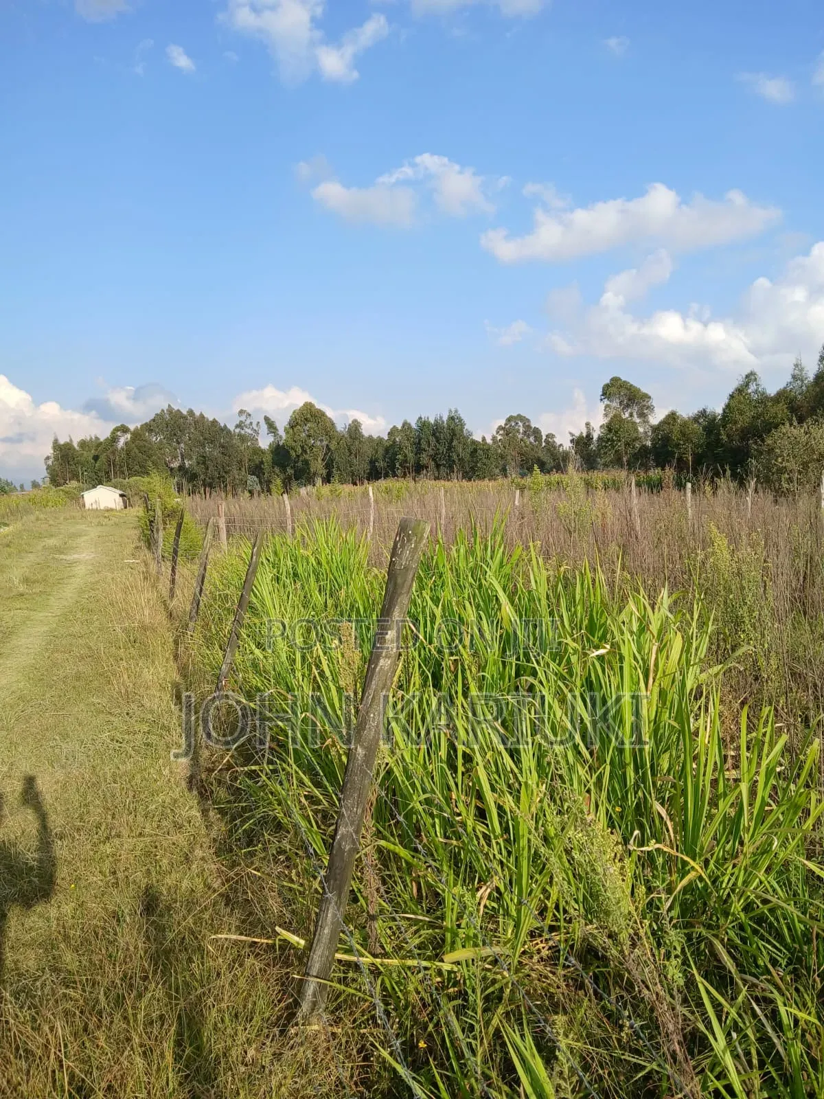 50x100 Plots in Naivasha Kirima Near Meriah Guest Houses in Murungaru