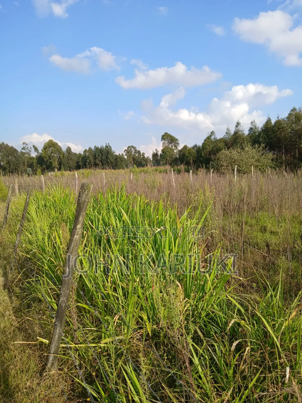 50x100 Plots in Naivasha Kirima Near Meriah Guest Houses in Murungaru