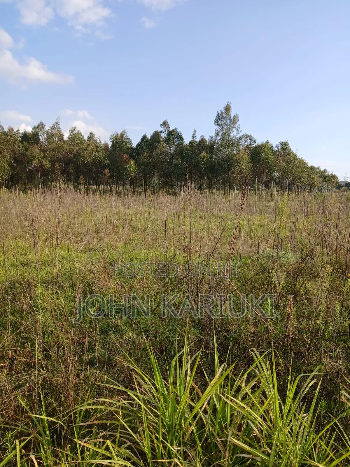 50x100 Plots in Naivasha Kirima Near Meriah Guest Houses in Murungaru