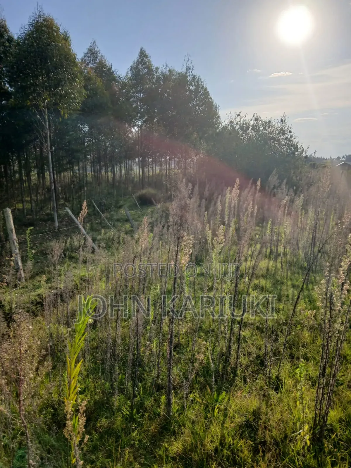 50x100 Plots in Naivasha Kirima Near Meriah Guest Houses in Murungaru