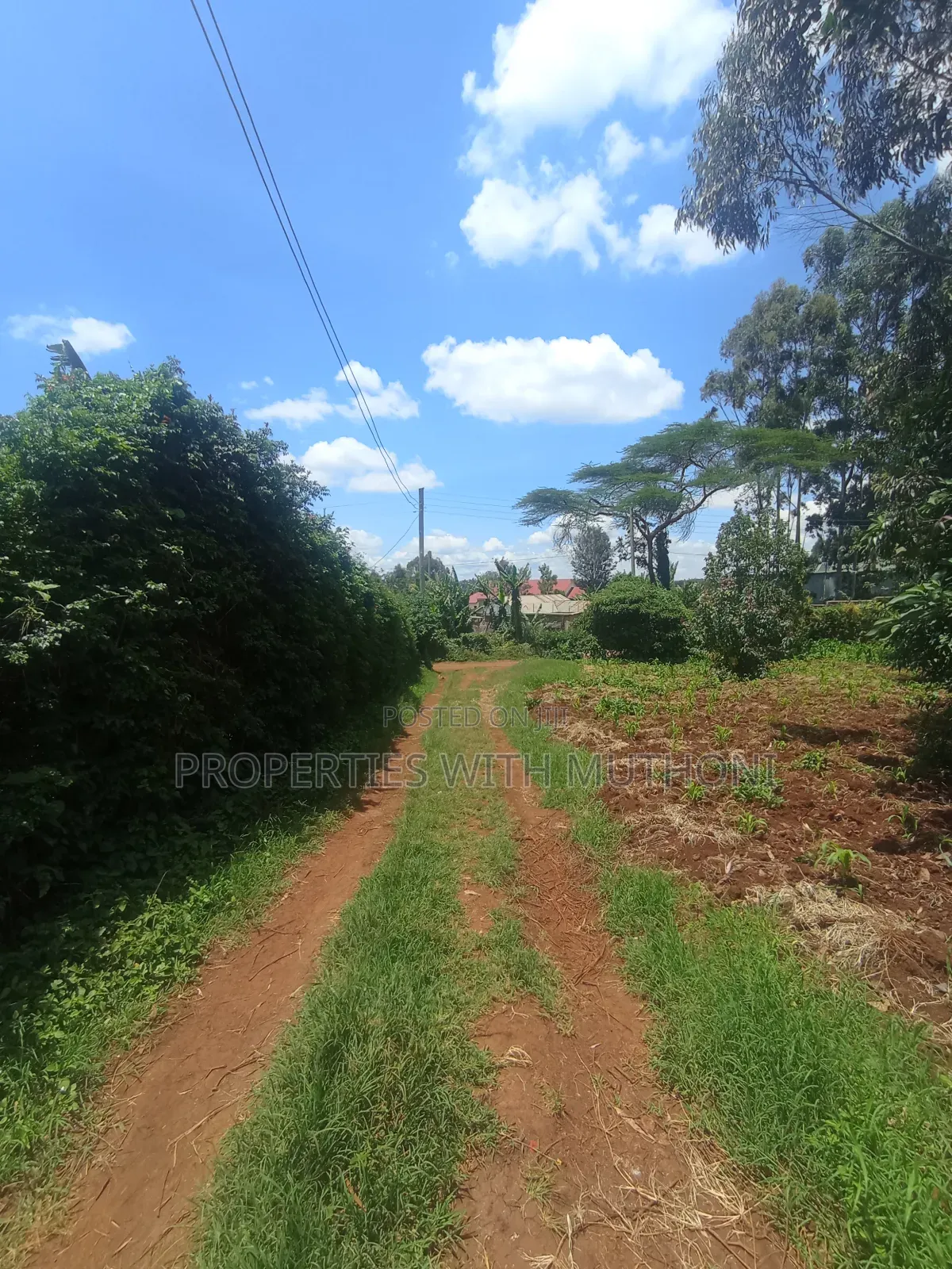 50×100 Plots for Sale in Gikambura, Kikuyu. in Karai