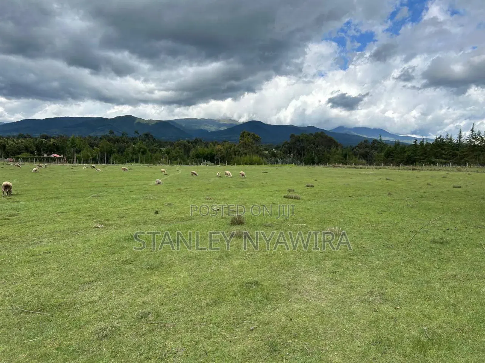 6 Acres Nanyuki Sweet Water Olopajeta Rongai Gate in Nanyuki