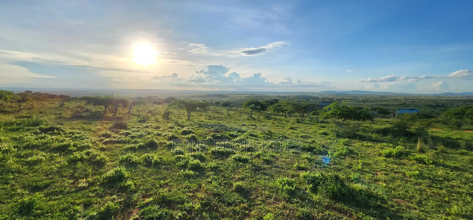 Two Adjacent Quarter Acre Plots in Malili Mukaa in Malili