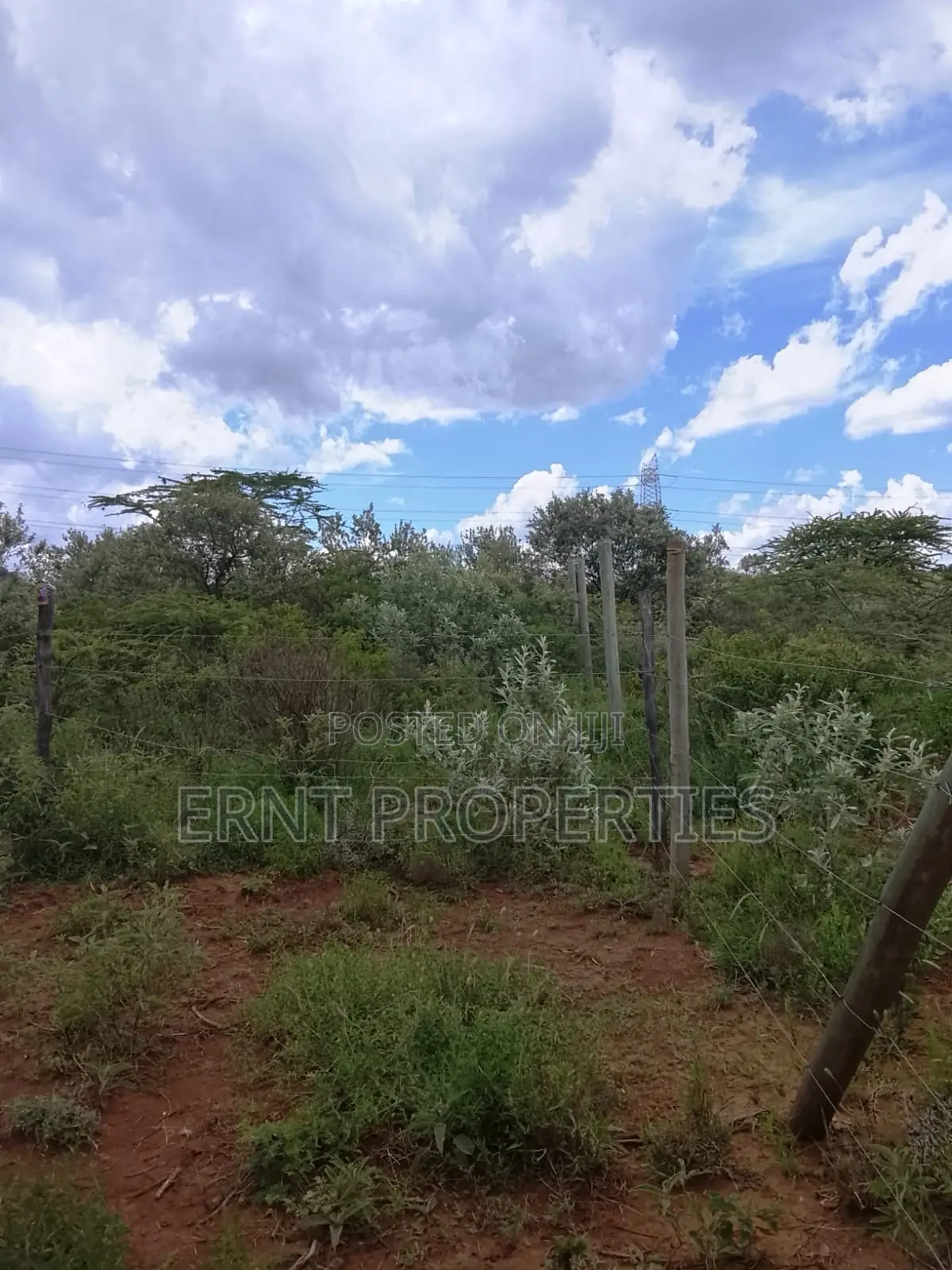 Prime Corner 100x100 Plot for Sale in Ngong Kimuka Near Tarmac in Ngong