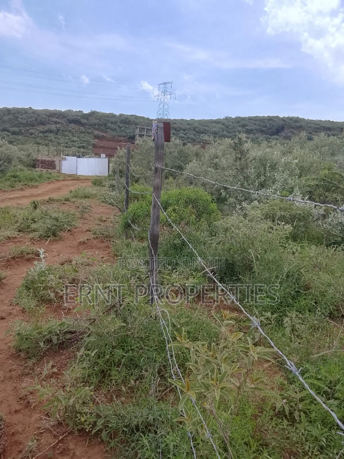 Prime Corner 100x100 Plot for Sale in Ngong Kimuka Near Tarmac in Ngong