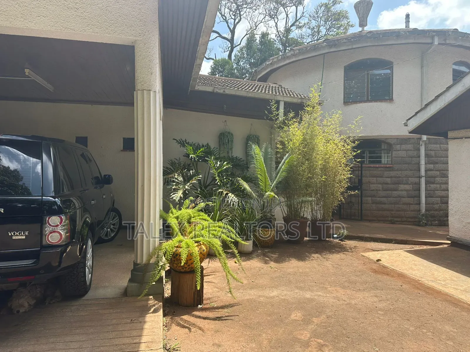 Own Kenya's Finest 1000-Acre Mixed Farm in Kitale-Trans- Nzoia County in Kitale