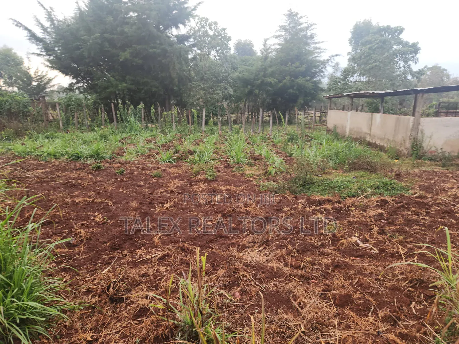 Own Kenya's Finest 1000-Acre Mixed Farm in Kitale-Trans- Nzoia County in Kitale