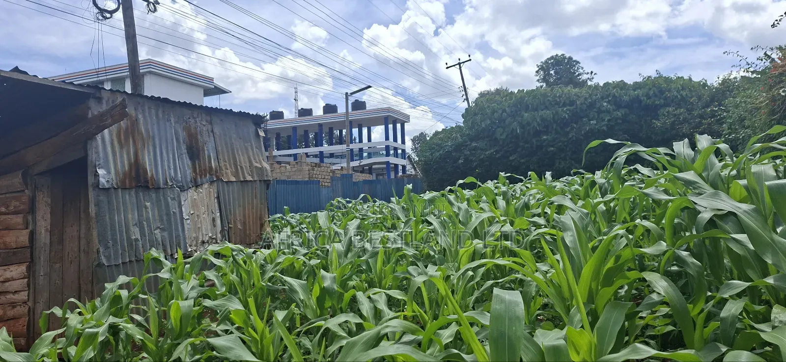 50x100 Available Plot for Sale in Kabete Gathiga in Gathiga