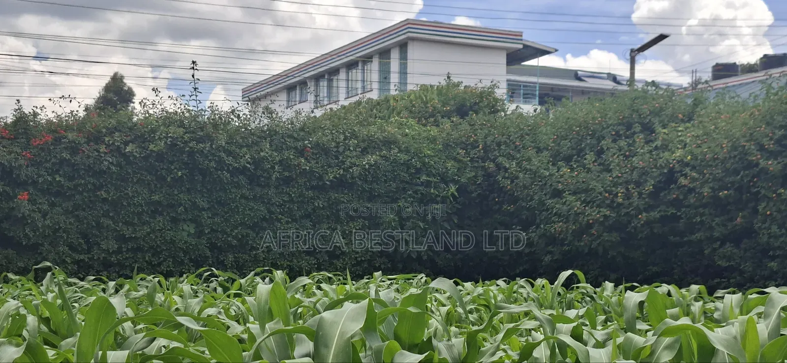 50x100 Available Plot for Sale in Kabete Gathiga in Gathiga