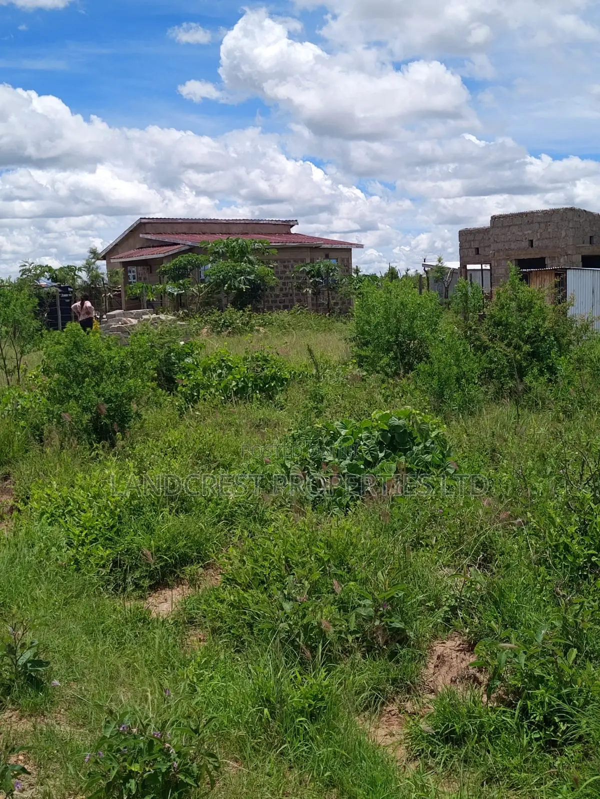 1/8 Acre Plot for Sale in Matuu in Matuu