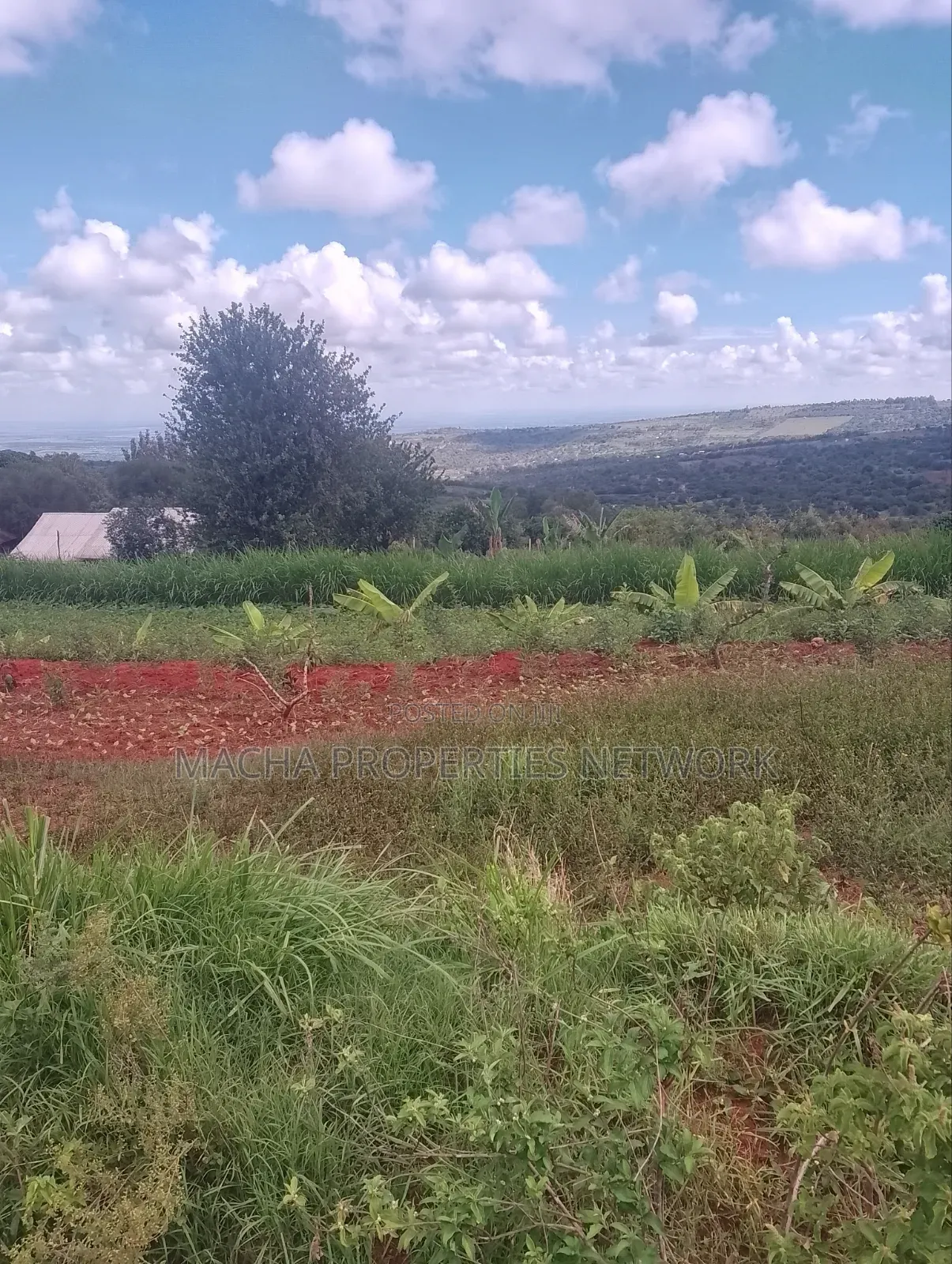 Half an Acre - Mua Hills -Machakos. in Mua Hills
