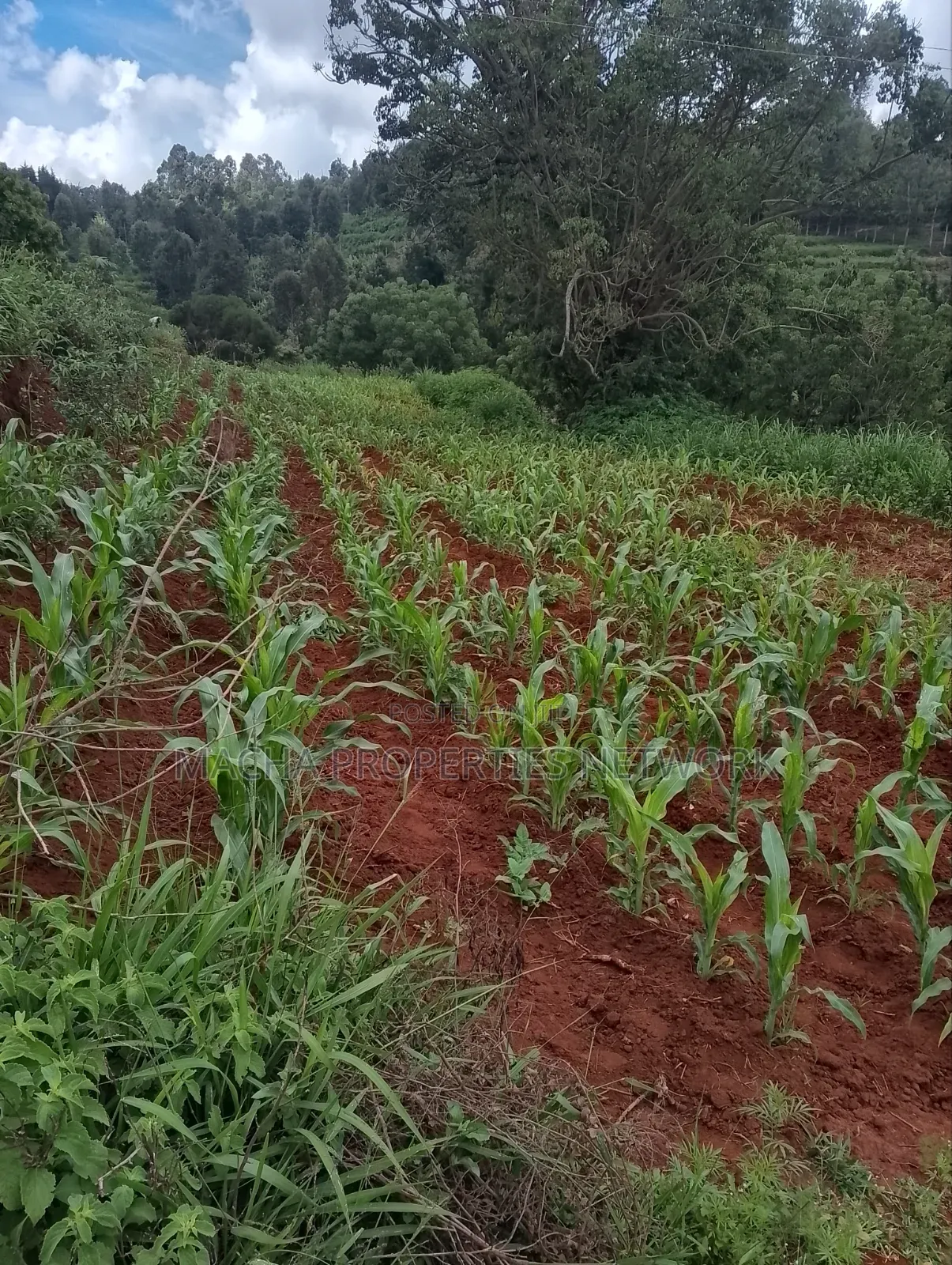 Half an Acre - Mua Hills -Machakos. in Mua Hills