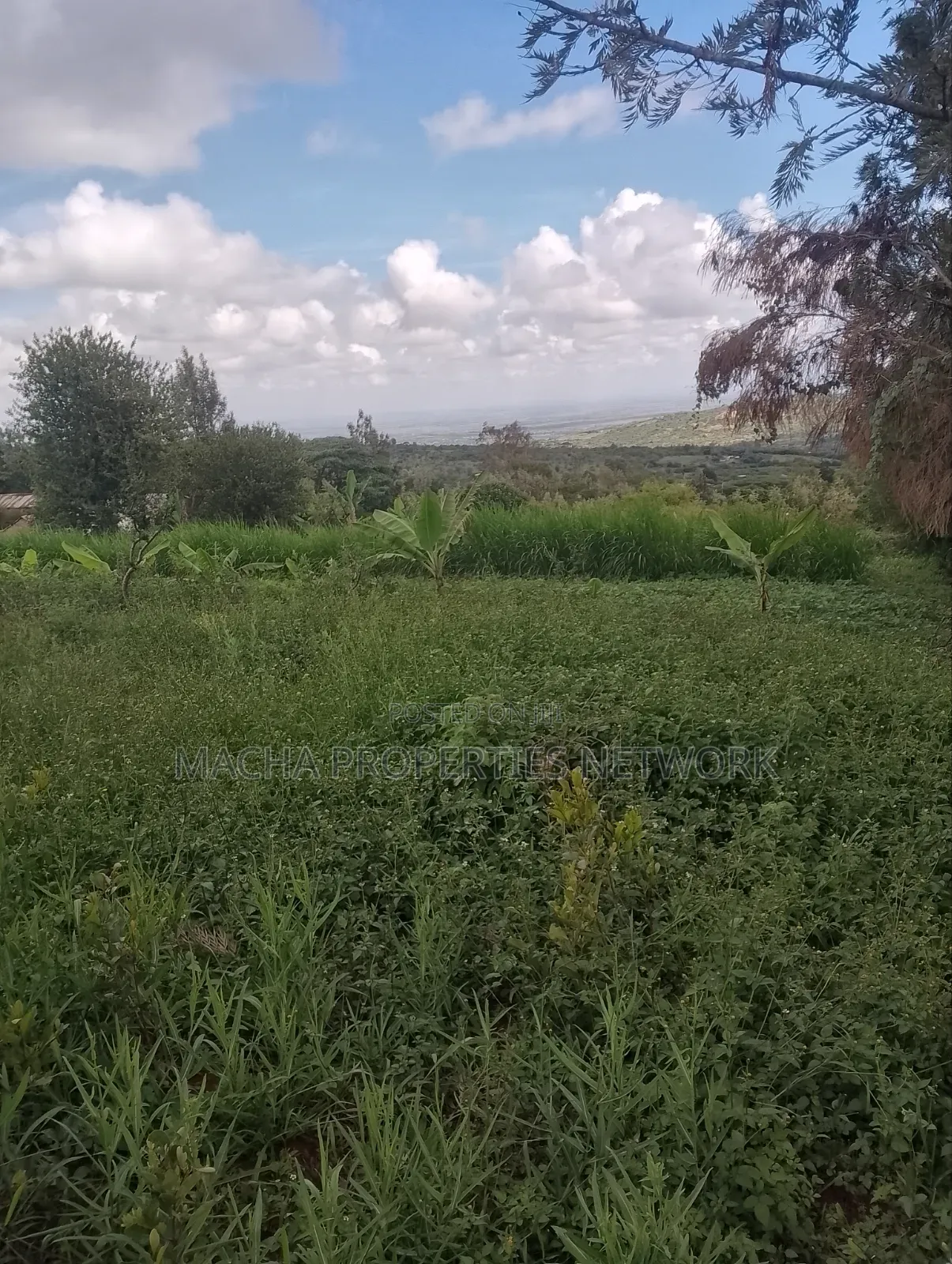 Half an Acre - Mua Hills -Machakos. in Mua Hills