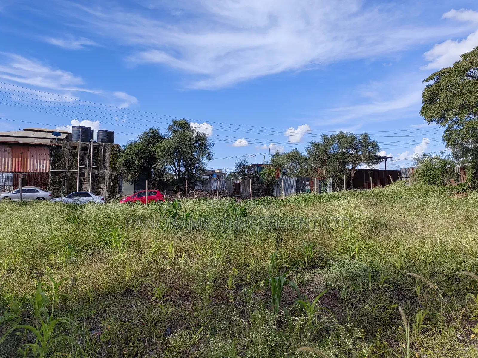 100x100 Plot for Sale in Ruai in Ruai