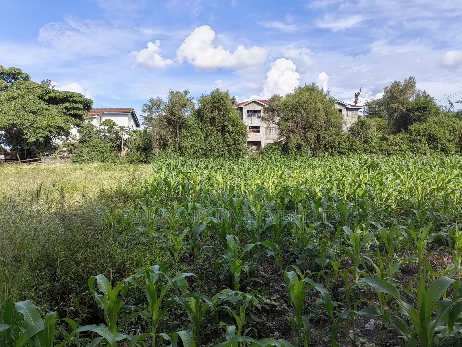 100x100 Plot for Sale in Ruai in Ruai
