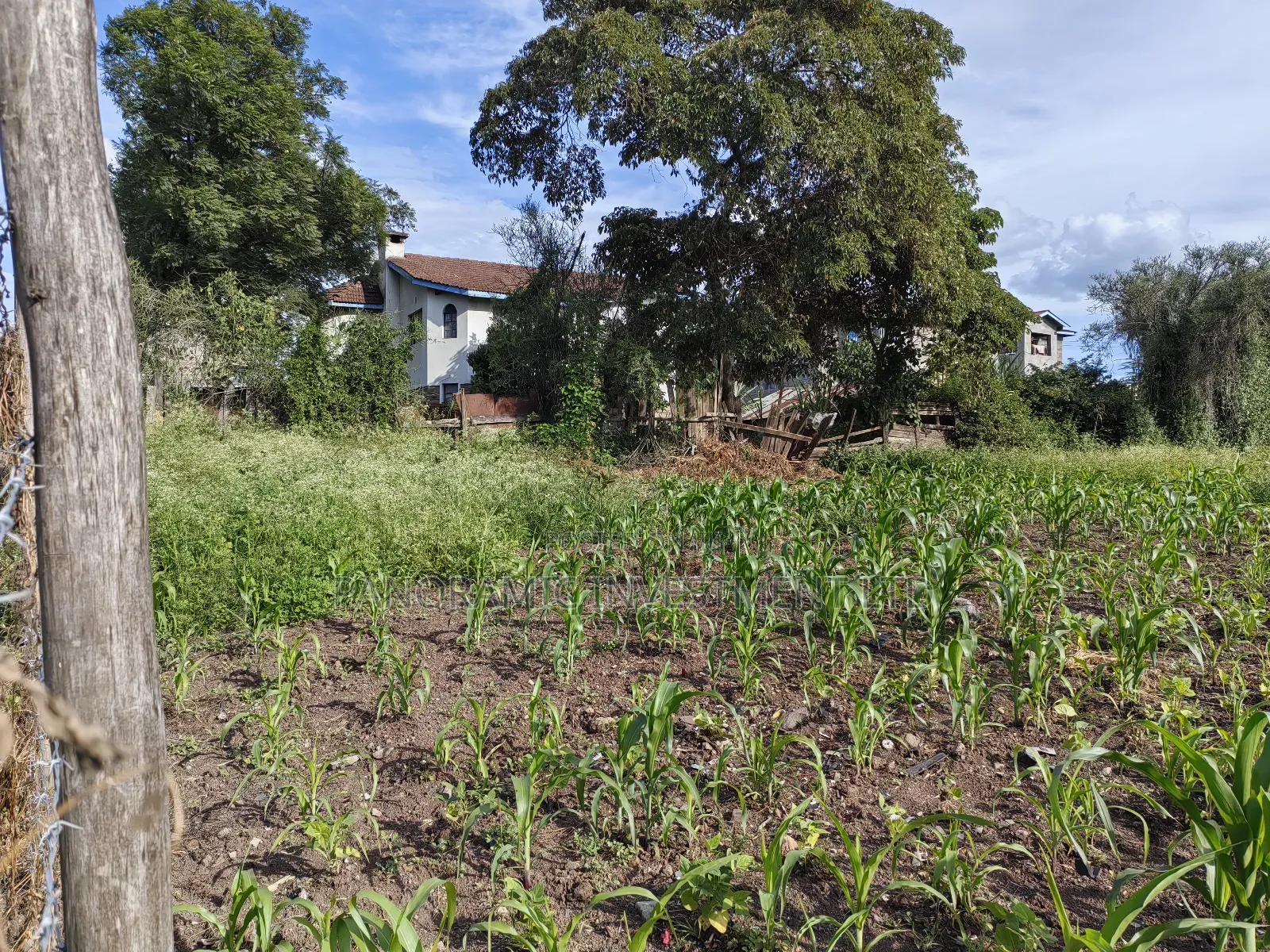 100x100 Plot for Sale in Ruai in Ruai