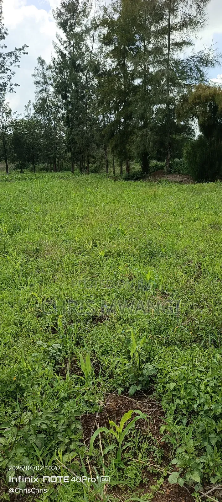Ready Title Deed in Kiambu CBD