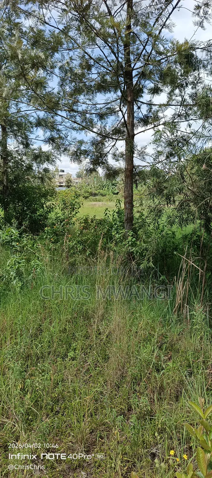 Ready Title Deed in Kiambu CBD
