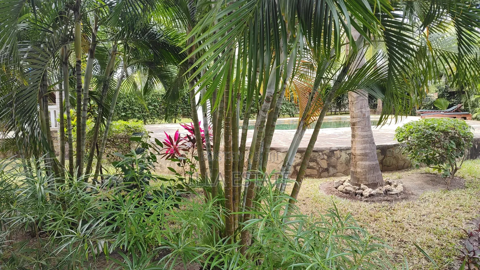 Furnished 2bdrm Apartment in Diani for sale in Diani