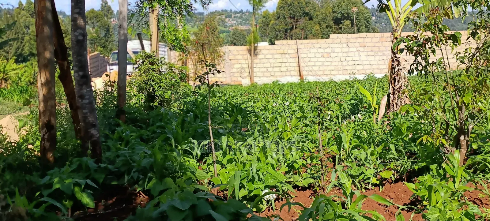 Residential Plots for Sale in Kikuyu