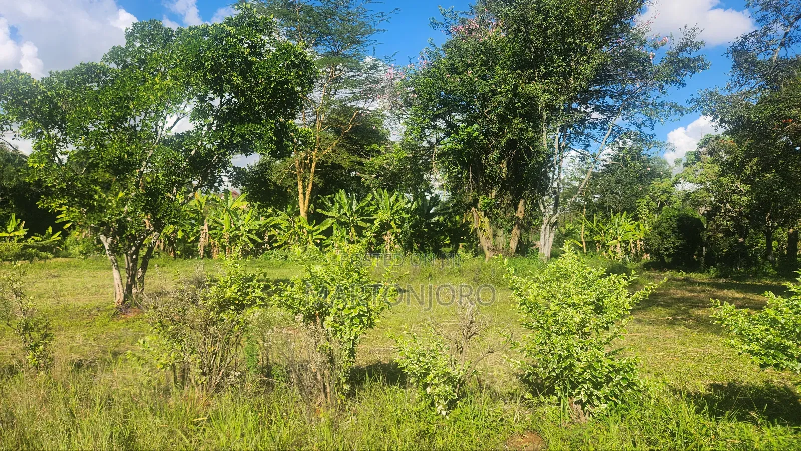 1.5 Acres Gatundu Town in Ngenda
