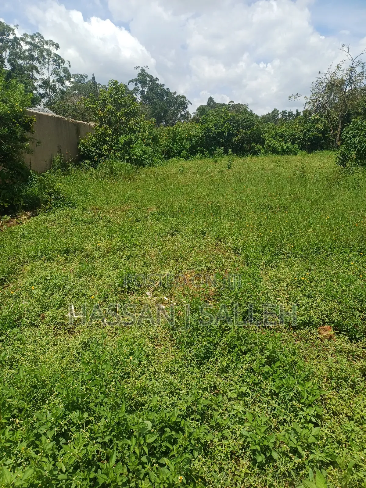 Plot 4 Sale at Mumias Lumino in Mumias Central