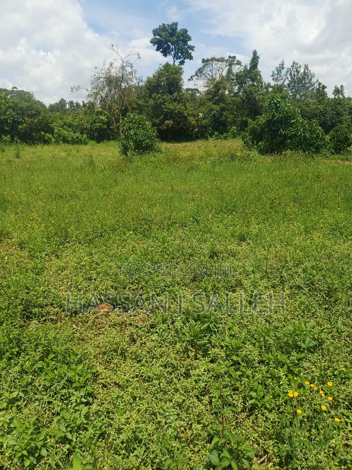 Plot 4 Sale at Mumias Lumino in Mumias Central